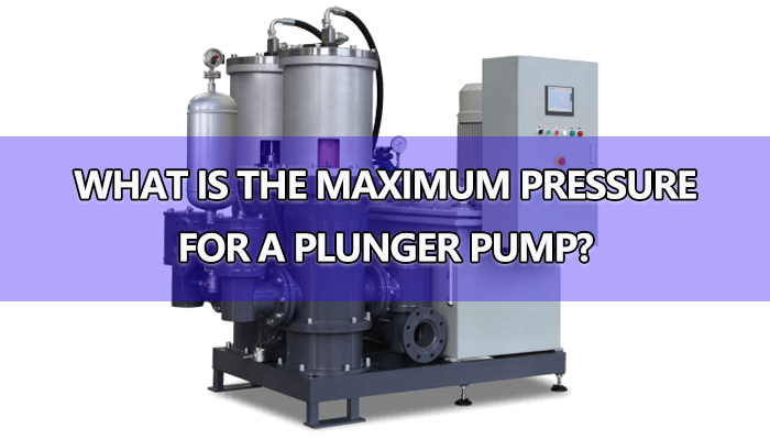 Custom plunger pump